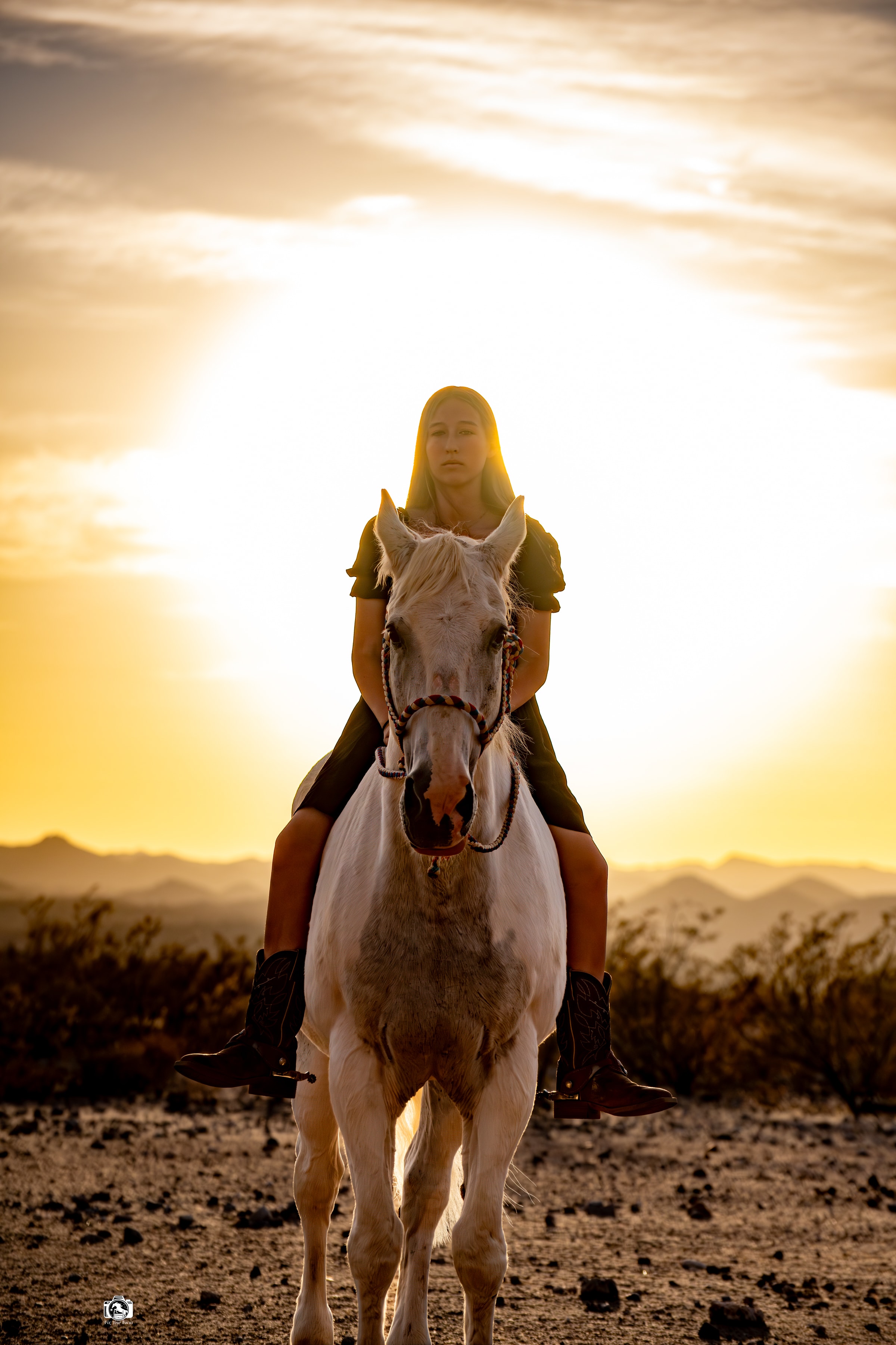Rider on white horse at golden sunset in the Arizona desert